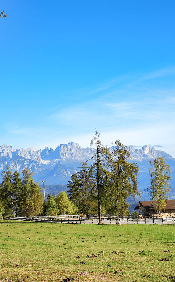 Aktivurlaub rund um Bozen